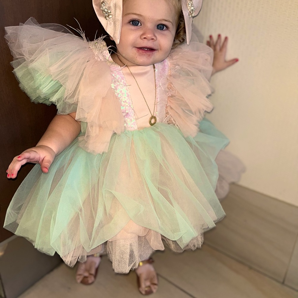 Beautiful tulle baby dress size 18-24 mos cotton candy colors, very full